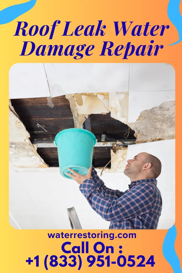 Roof Leak Water Damage Repair in Raoul, GA